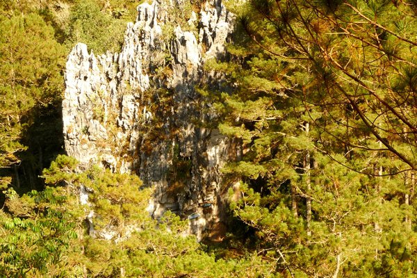  Solo Backpacking in Sagada - Echo Valley