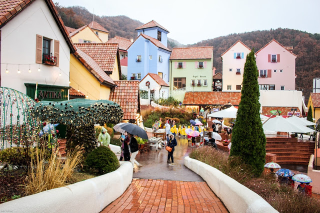 Nami Island & Petite France