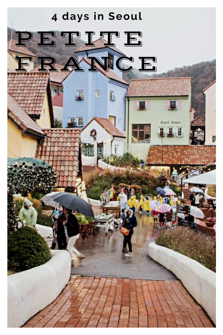 Day trip in Nami Island and Petite France