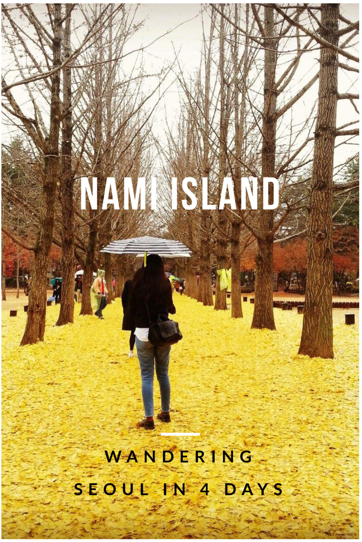 Day trip in Nami Island and Petite France