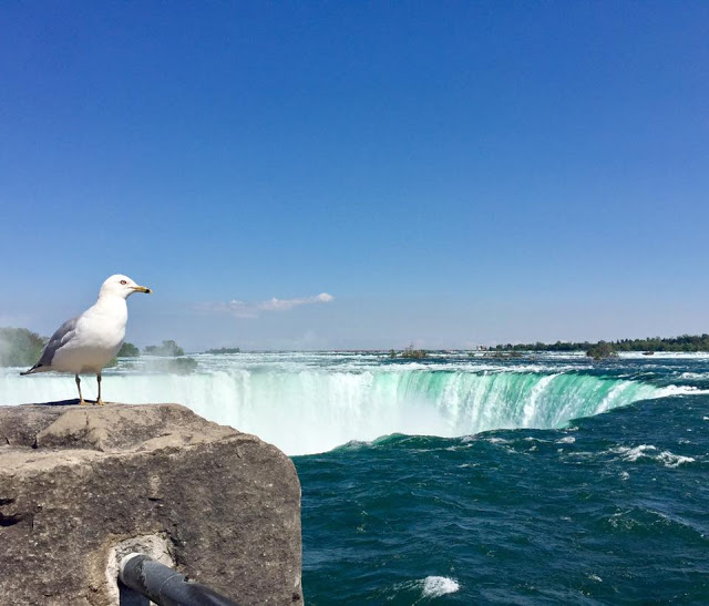 Things to do in Niagara Falls