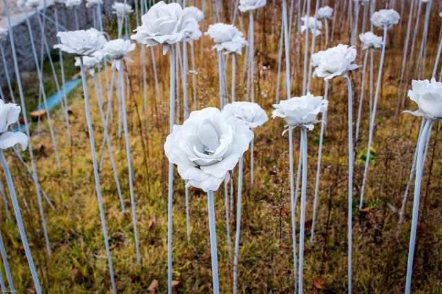 Dongdaemun Design Plaza Rose Garden