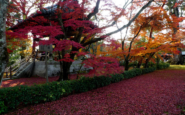 Kinkakuji(Golden Pavillion)