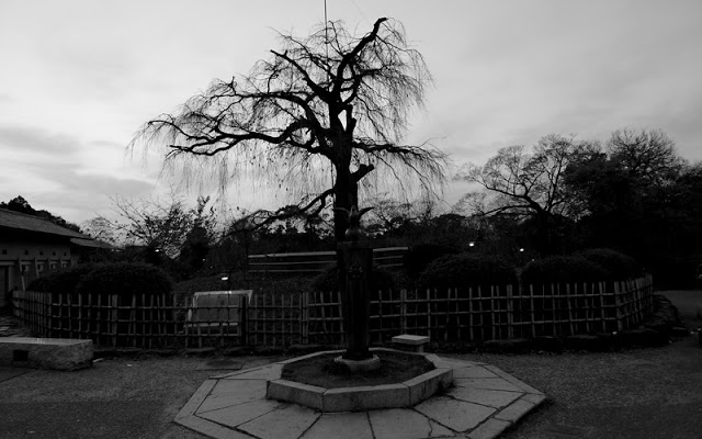 Yasaka shrine and Marayumi Park