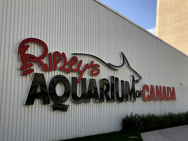 Ripley's Aquarium