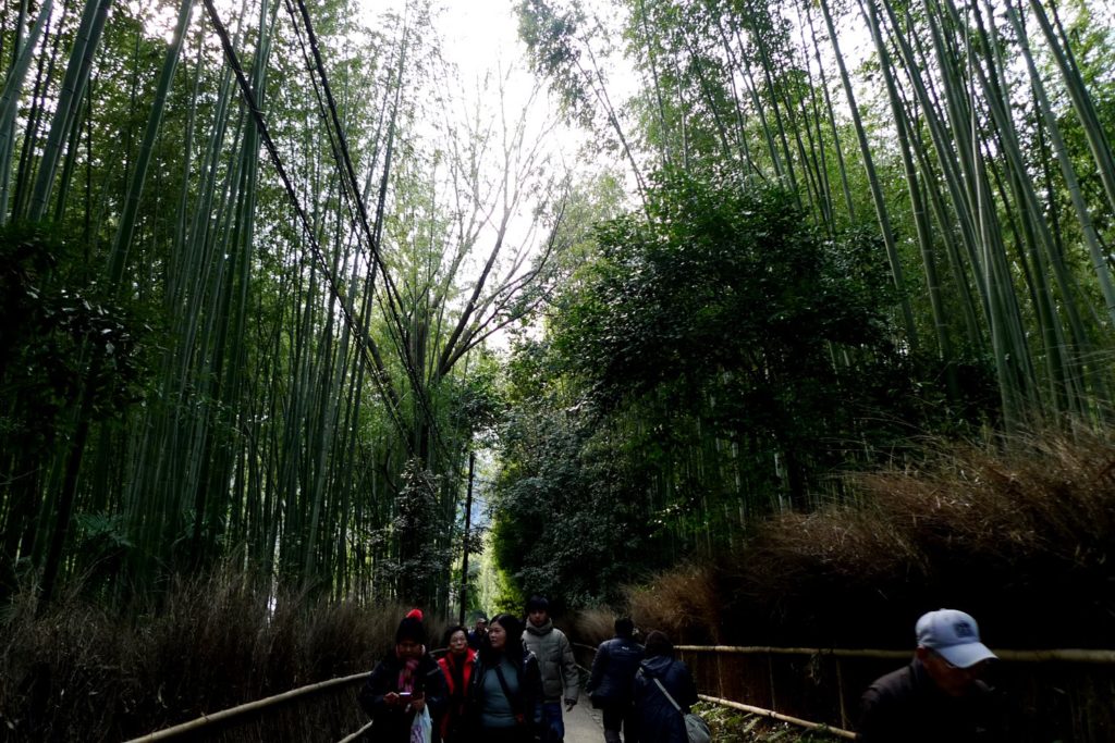 Arashiyama