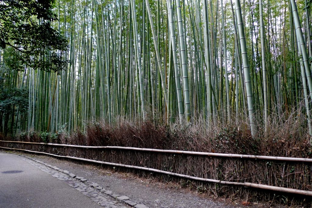 Arashiyama