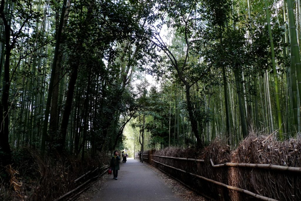 Arashiyama