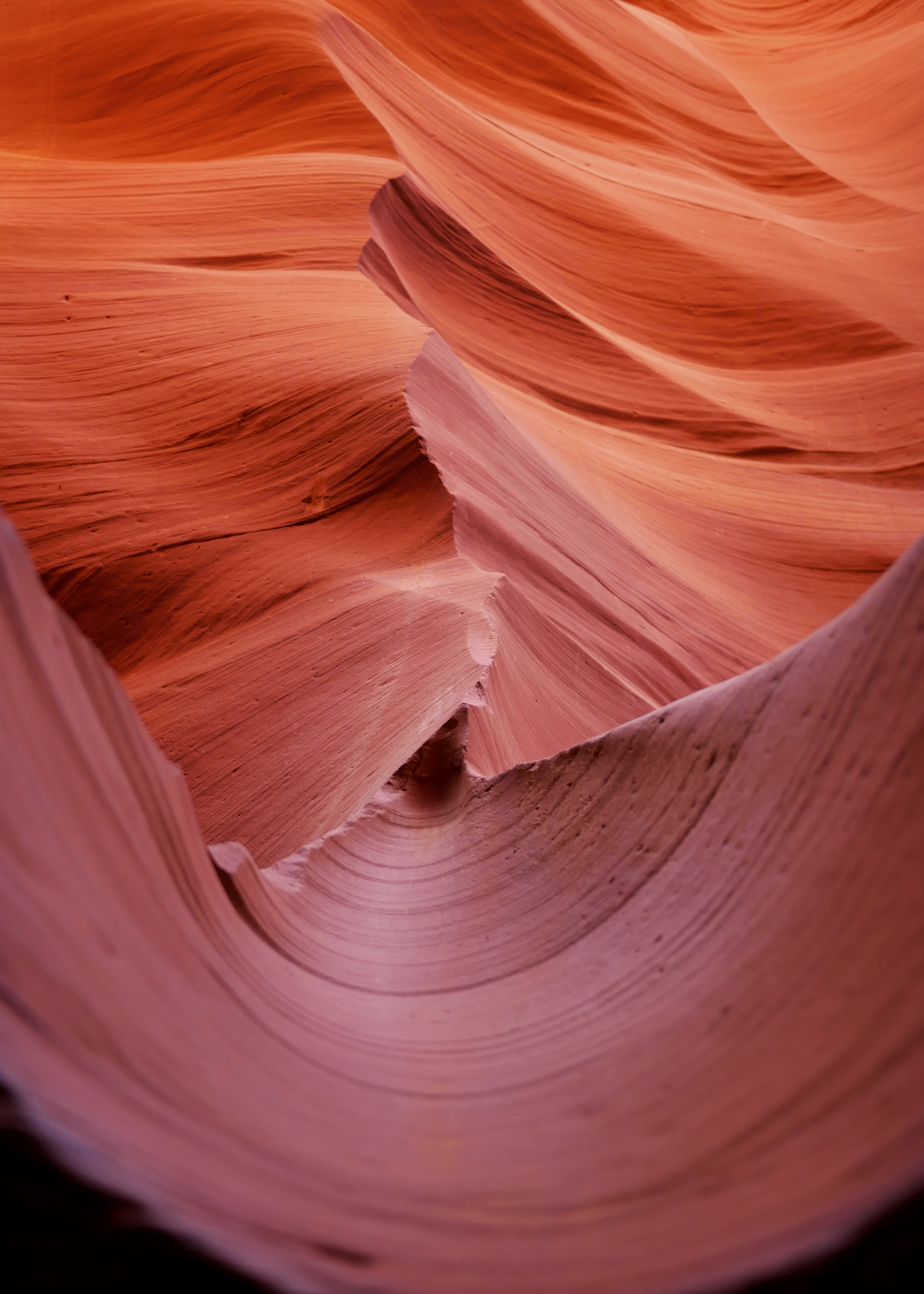 One Day in Horseshoe Bend, Lower Antelope Canyon and Grand Canyon