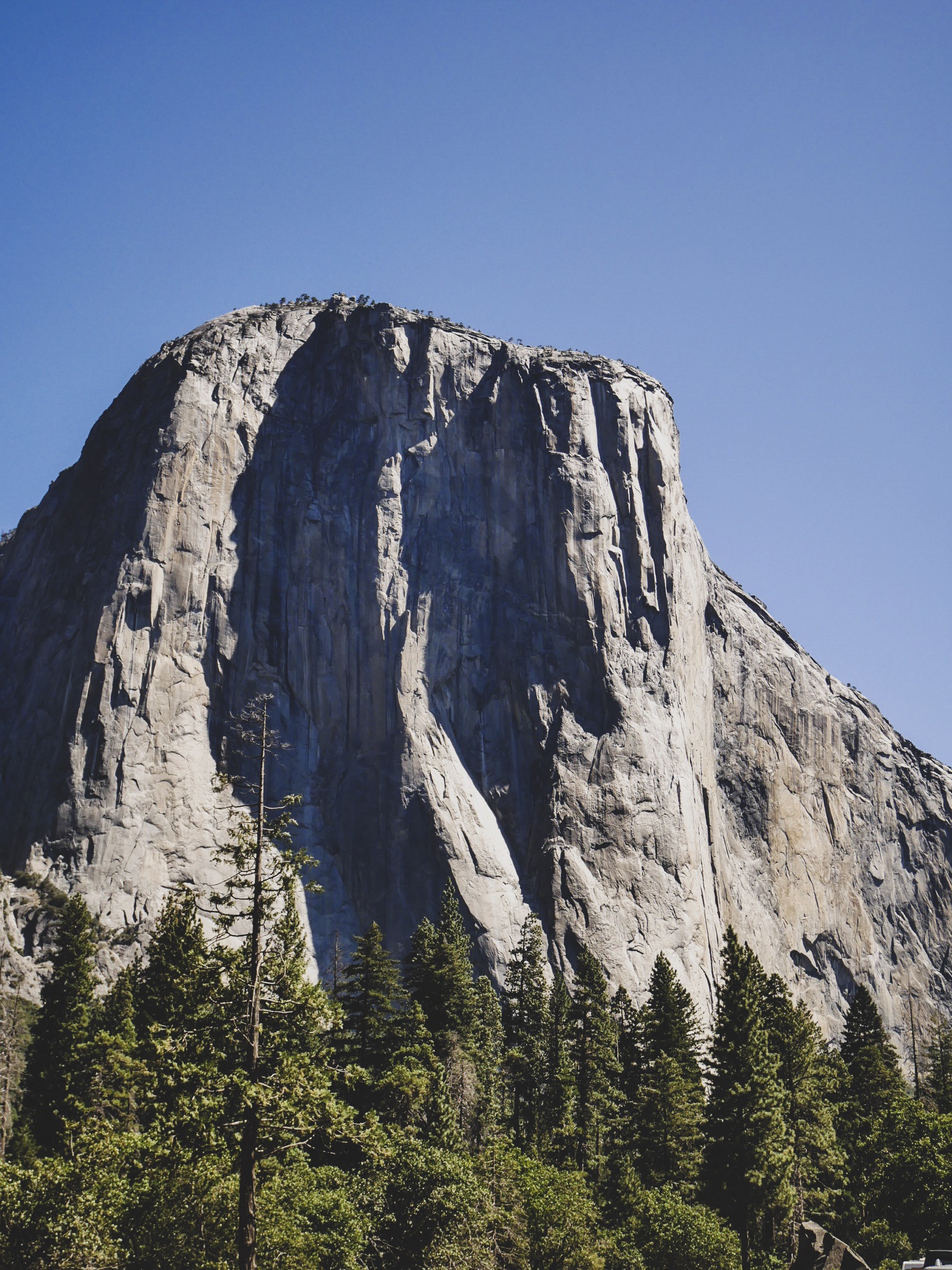 Yosemite National Park: 2-Day Itinerary in Summer