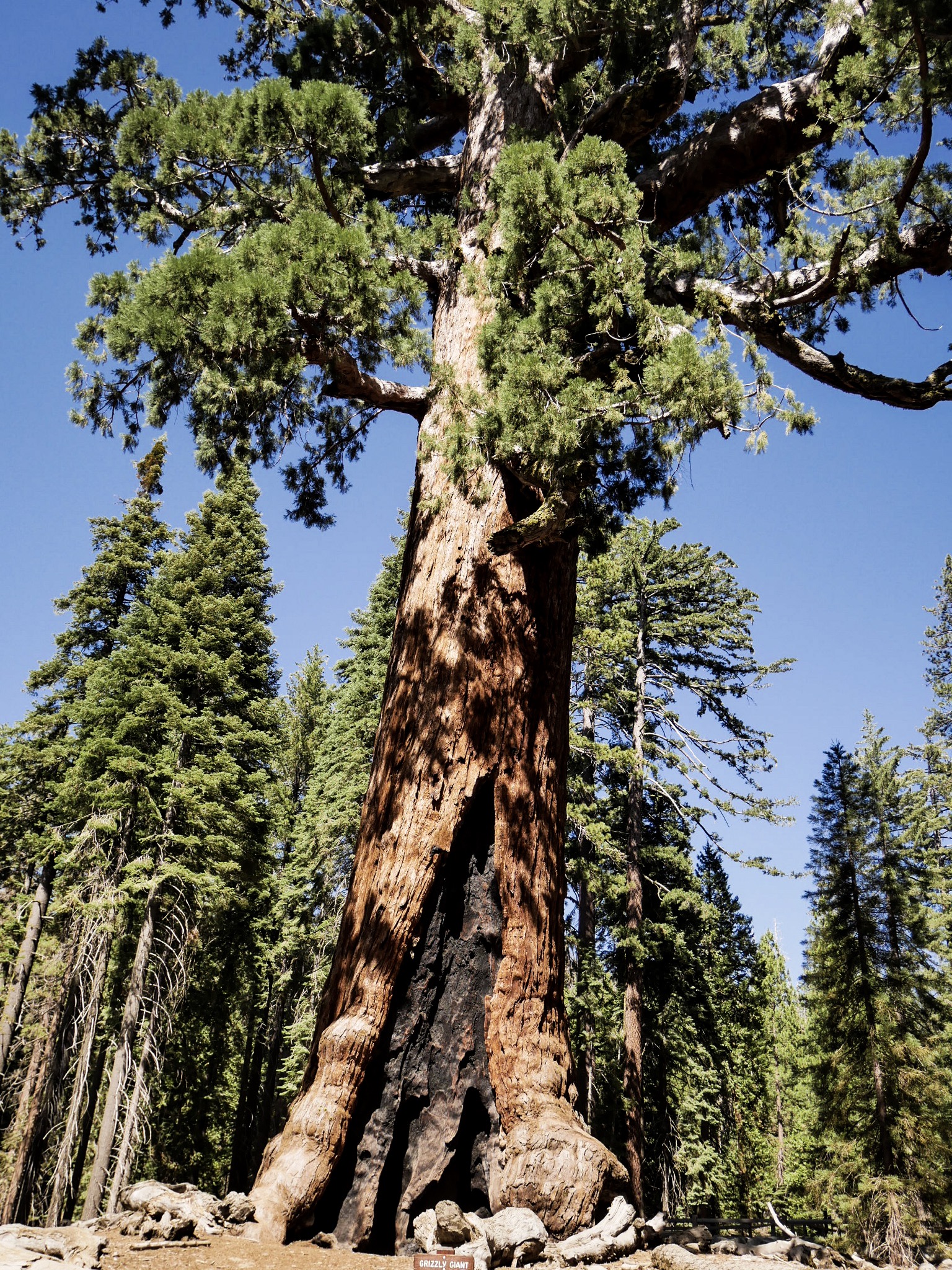 Yosemite National Park: 2-Day Itinerary
