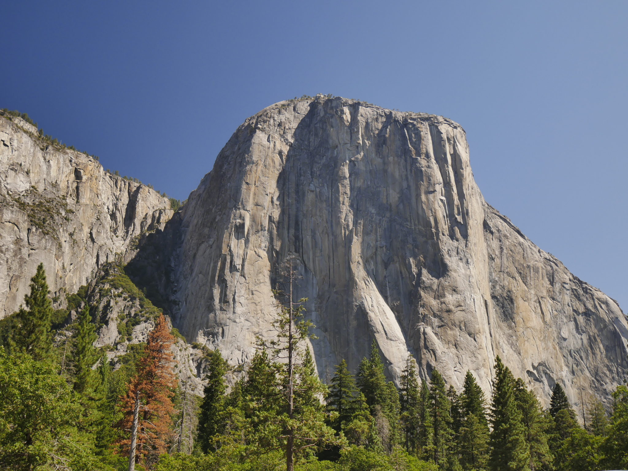 Tips when Visiting Yosemite National Park