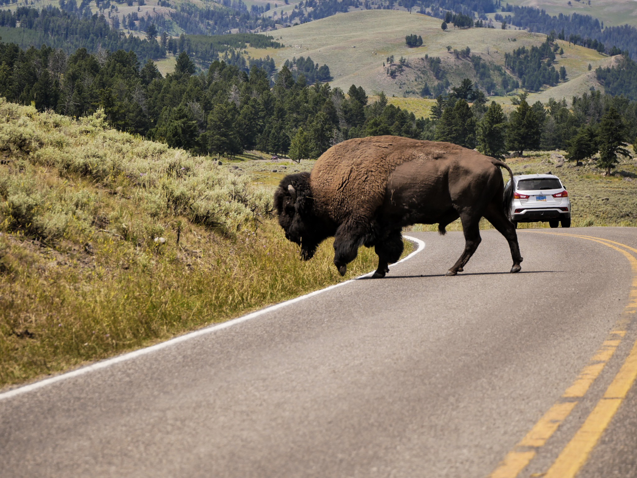 Yellowstone National Park - 2-Day Itinerary