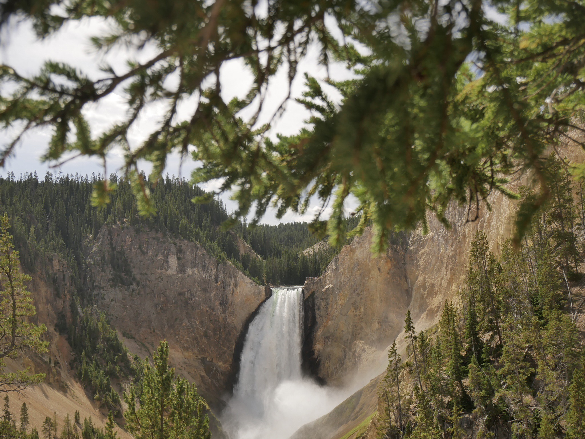 Yellowstone National Park - 2-Day Itinerary