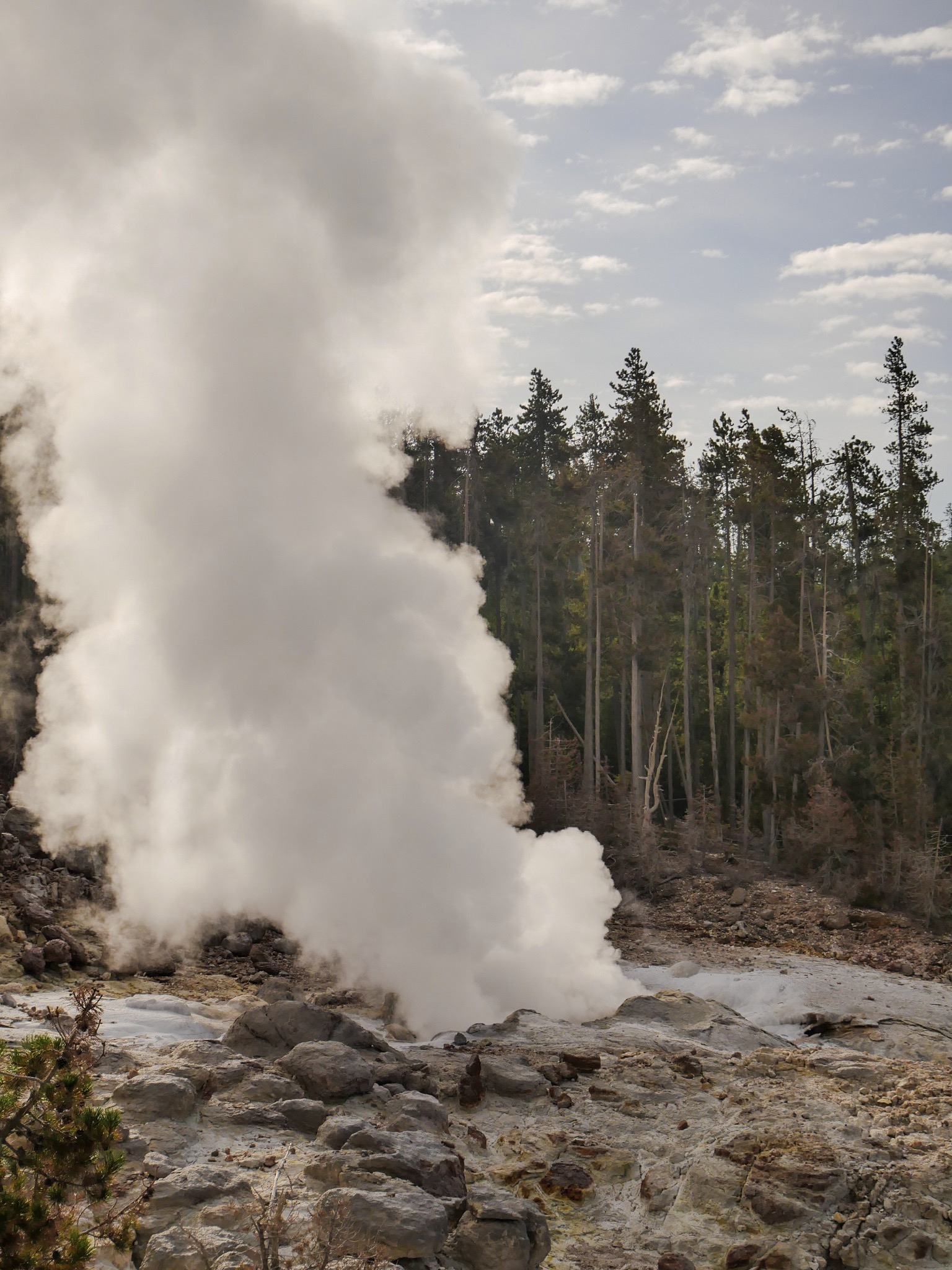 Yellowstone National Park - 2-Day Itinerary