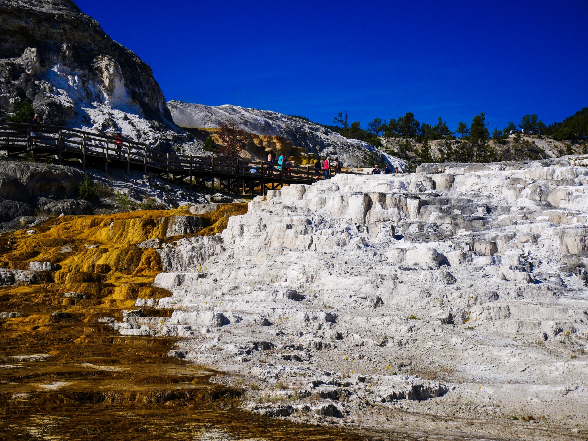 Yellowstone National Park - 2-Day Itinerary