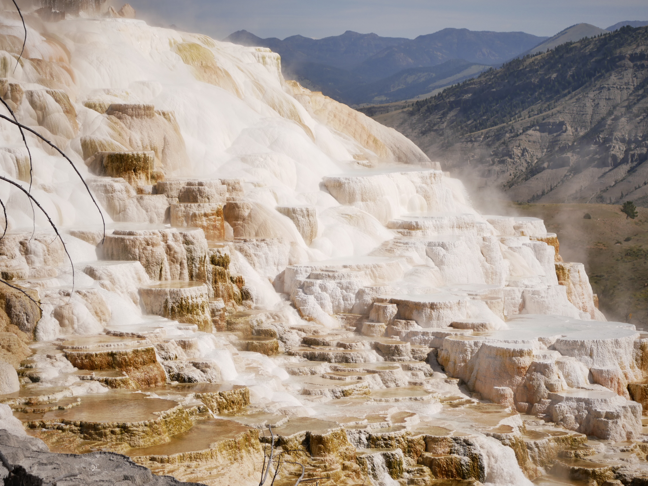 Tips when Visiting Yellowstone National Park