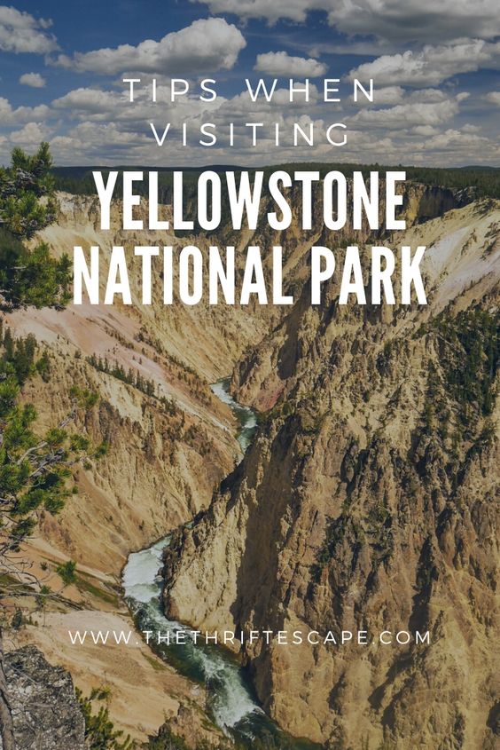 Tips when Visiting Yellowstone National Park