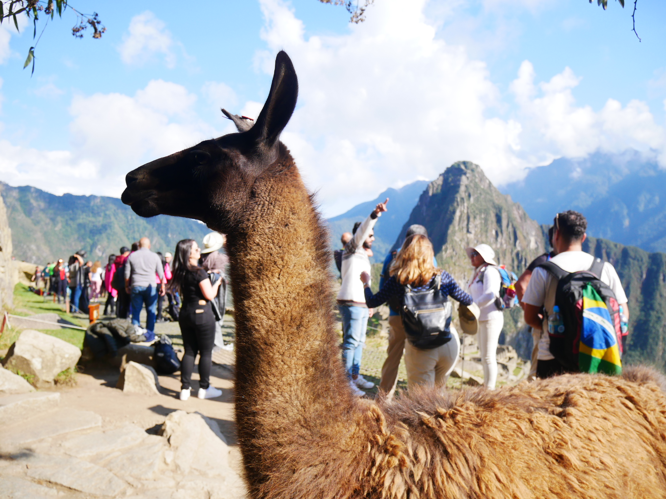 How to travel to Machu Picchu on a budget