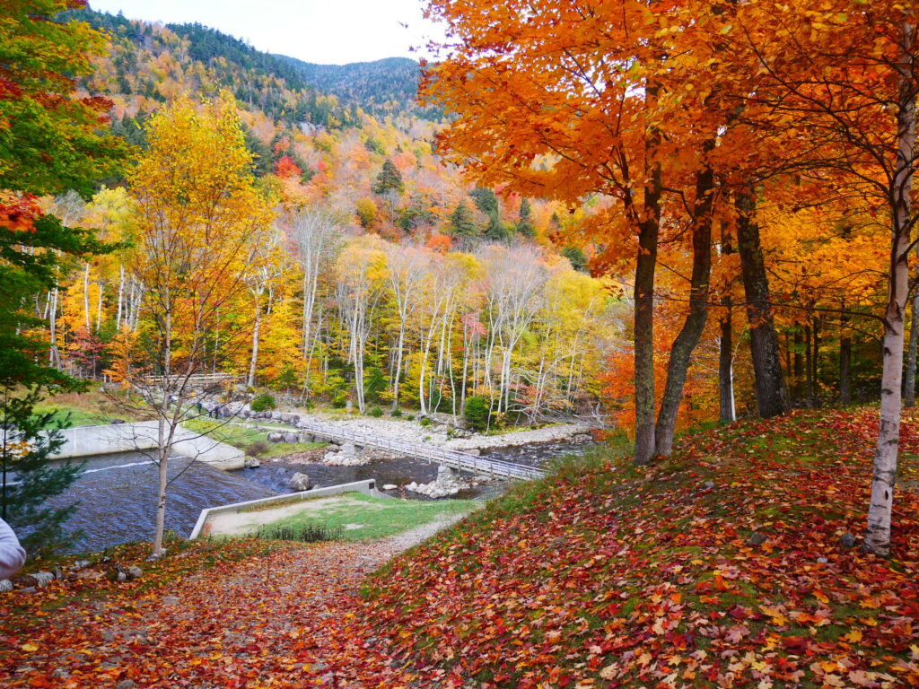 An Awesome Weekend in Adirondacks