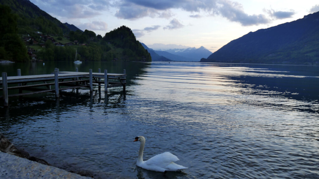 Iseltwald - Crash Landing On You piano setting