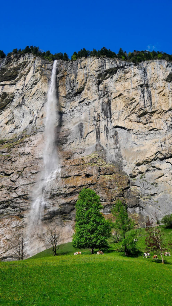 Half day at Lauterbrunnen Village